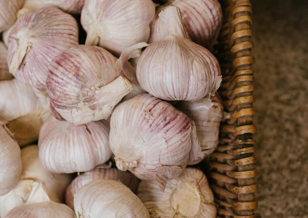 czosnek