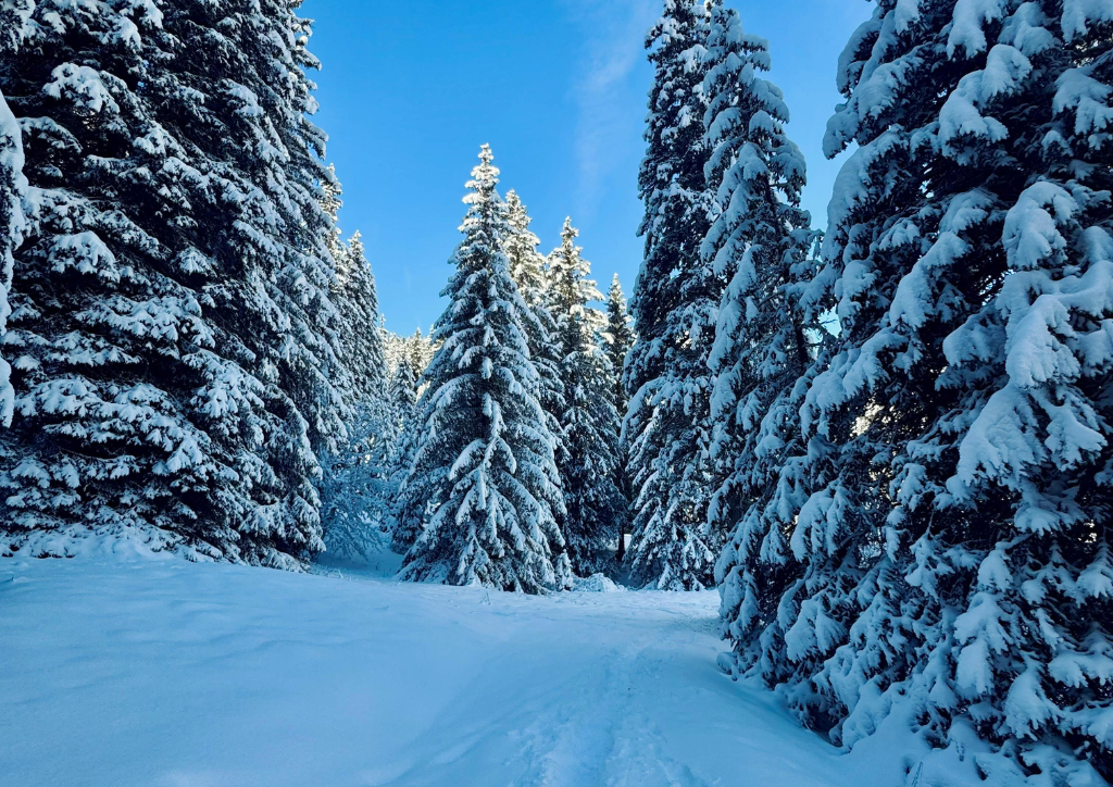 opady śniegu - grafika Canva
