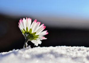 opady śniegu - grafika Canva