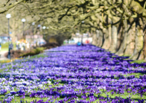 artykuł pogoda - grafika Canva