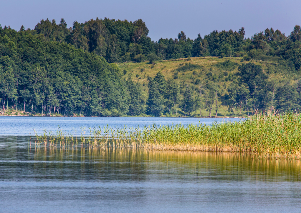 jeziora - grafika Canva