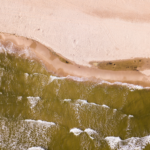 grafika Morze Bałtyckie, artykuł foka - grafika Canva