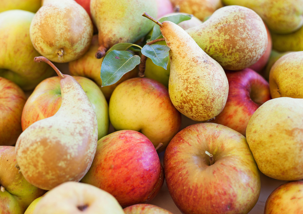 kwiecień - grafika Canva