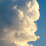 prognoza - grafika Canva