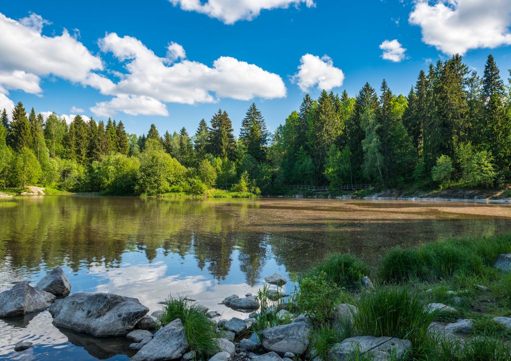 jezioro otoczone drzewami w Finlandii